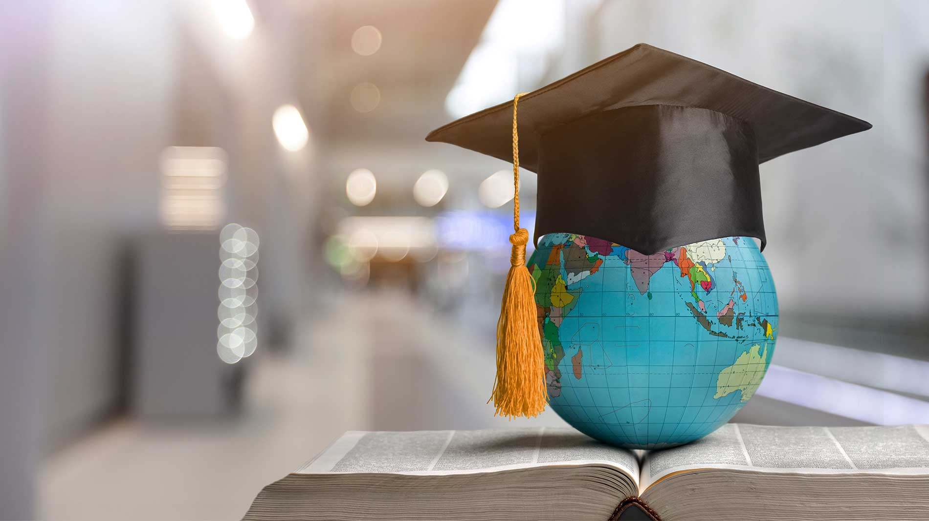 melbourne education consultant